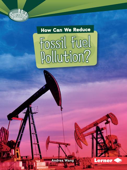 How Can We Reduce Fossil Fuel Pollution?