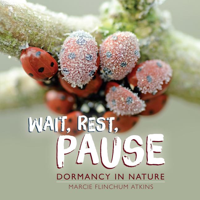 Wait, Rest, Pause: Dormancy in Nature