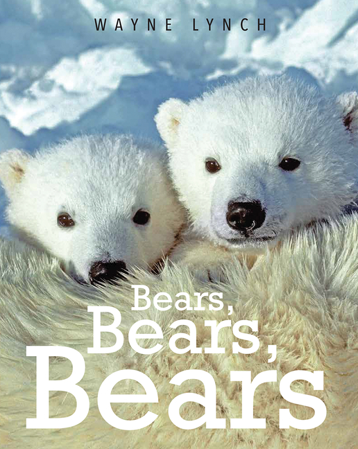 Bears, Bears, Bears