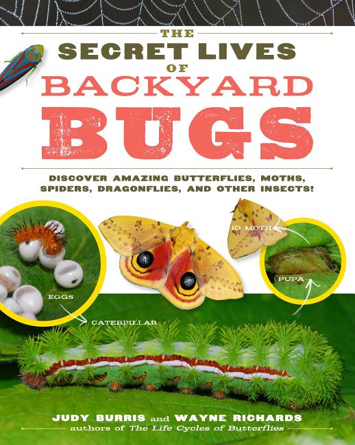 The Secret Lives of Backyard Bugs: Discover Amazing Butterflies, Moths, Spiders, Dragonflies, and Other Insects!