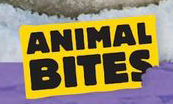 Animal Bites Series