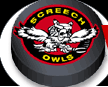 Screech Owls Series