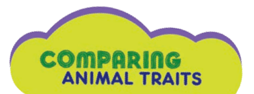 Comparing Animal Traits Series