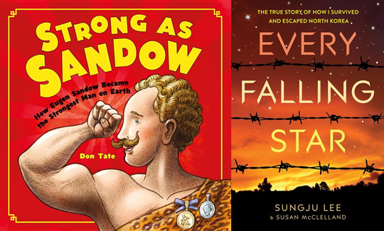 Book covers Strong as Shadow and Every Falling Star