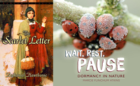 Book covers The Scarlet Letter and Wait, Rest, Pause