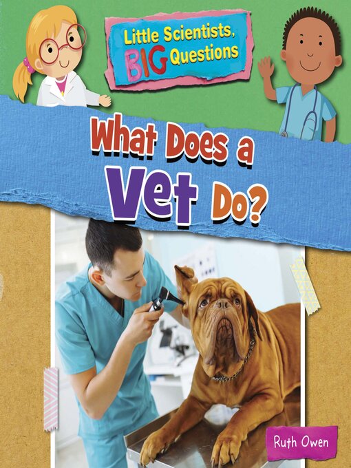 What Does a Vet Do?