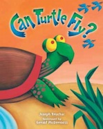 Can Turtle Fly?