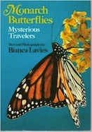 Monarch Butterflies: Mysterious Travelers
