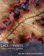 Lace & Pyrite: Letters From Two Gardens