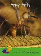 Army Ants