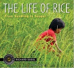The Life of Rice: From Seedling to Supper