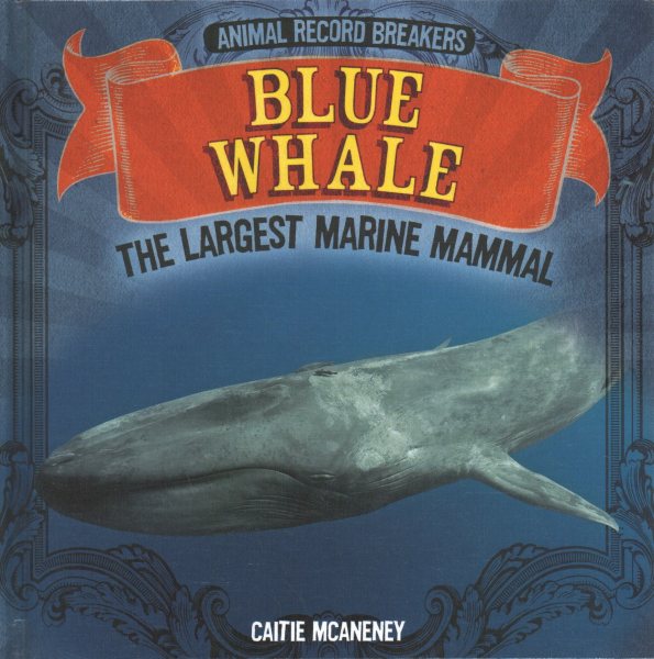 Blue Whale: The Largest Marine Mammal