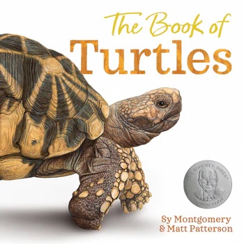 Book of Turtles, The