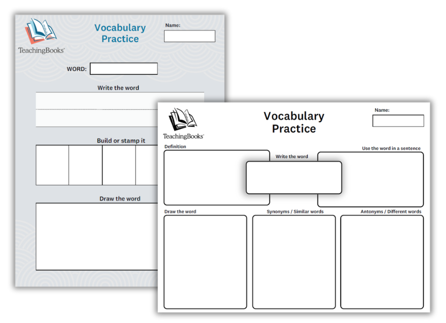 Vocabulary graphic organizers